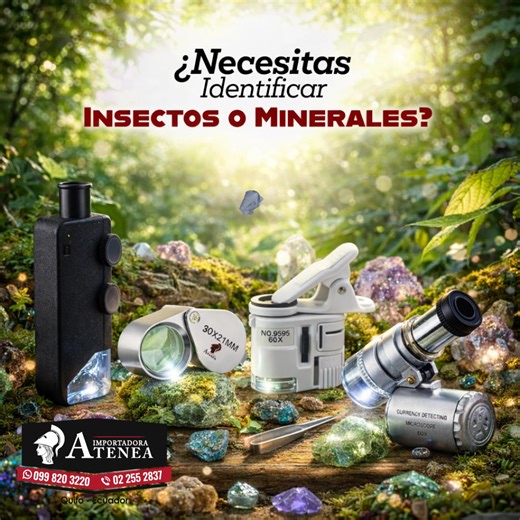 🔎 ¿Cuántas plagas estás dejando pasar por no ver los detalles? En campo, los pequeños indicios hacen la gran diferencia. Huevos, larvas, daños microscópicos… todo empieza en algo que el ojo no detecta fácilmente. En Importadora Atenea te ofrecemos lupas entomológicas de excelente aumento y nitidez, ideales para inspección agrícola, control fitosanitario y análisis técnico. 📲 Escríbenos y empieza a observar con precisión real. #plagas #plantas #insectos #lupa #entomologia #importadoraatenea #Im