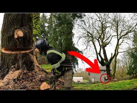 Dropping This Tree - Huge Destruction!