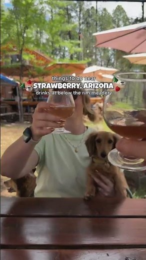 things to do in strawberry, arizona 🍓🍓 strawberry & pine arizona are located only 1.5-2 hrs north