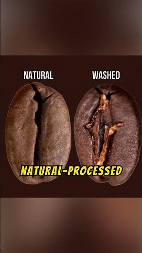 The Difference Between Washed and Natural Coffee: Acidity Explained
