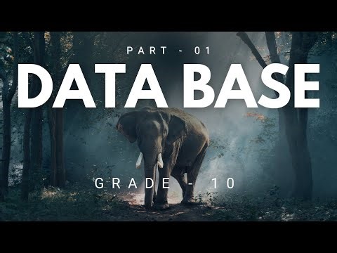 Database | Grade 10 | Part - 01