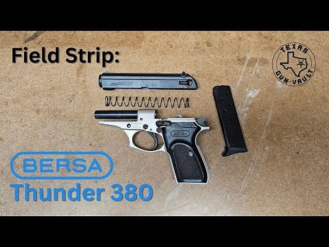 Field Strip: Bersa Thunder 380