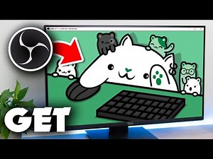 How To Get Bongocat Cam OBS - Full Guide