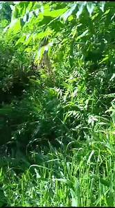 Shooow 🤩🤩😘😘🤩🤩😍😍😘😘👇👇👏👏👏👇👇😍😍😍😍🤩🤩😘😘👇👇👏👏👇🤩🤩😍😍🤩😘😘👇👏👏😘🤩😍 | Balões