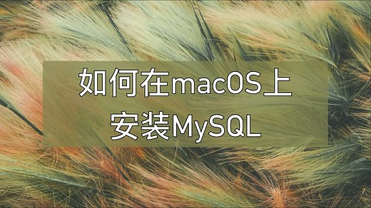 如何在macOS上安装MySQL