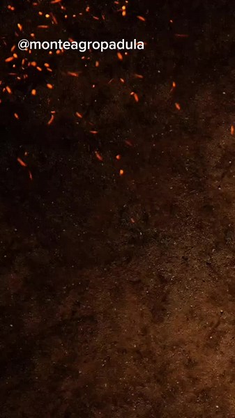 Ivomec Injetável: Tratamento Eficaz para Animais