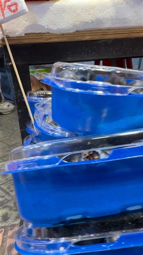 🐣：係你啦！搞到全世界都知我係鬥雞😾😾 #香港貓 #cats #catlover #貓星人#neko #ねこ #고양이 #hongkong #iphone #iphone17 #貓寫真 #貓貓日常 #港短 #唐貓 #唐貓也是寶 #可愛#streetphotography #photography #貓咪 #貓咪日常#funnycat#浪浪都可以好靚#貓店長#街貓#街貓寫真 #街貓攝影 #hkcat | Ms Cat And Friends