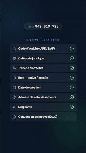 SIREN : 8 infos gratuites sur n'importe quelle entreprise française #shorts