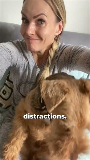 How to achieve daily steps at home? Orbitrek MX Elliptical trainer