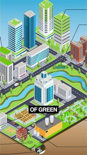 What is the 'Spongiest' City in the World?