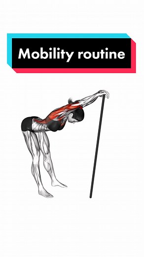Effective Mobility Stick Routine for Better Flexibility and Strength