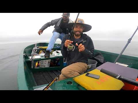 How to Catch BIG Halibut Without Owning a Boat