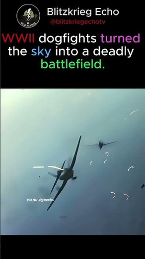 WW2 Dogfight in the Skies – Epic Fighter Plane Battle | Realistic Air Combat| Blitzkrieg Echo.