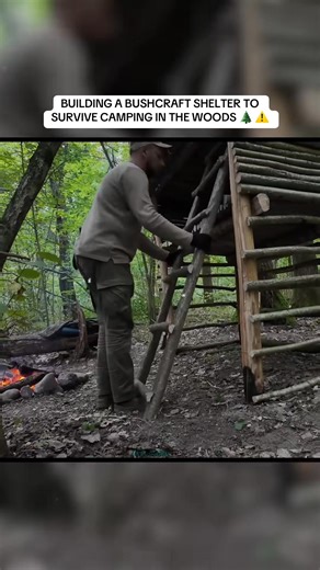 Bushcraft camping in the woods #survival #outdoorlife #camping #bushc...-002 | Craig Hamilton