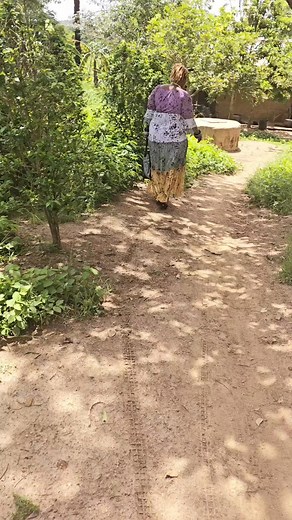 14K views · 254 reactions | SURPRISE | Reine Des Enfants Différents | Facebook