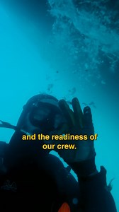 Hull Maintenance at Sea 🌊 Keeping your boat in peak condition means more than just smooth sailing — it means keeping the hull clean too 🤘. At sea, biofouling (algae, barnacles, and marine life) can slow you down and impact your efficiency. In the strong currents of the Upper Gulf of California, cleaning the hull is no easy feat, but with a brave crew of divers on the job, no challenge is too great! Regular hull cleanings are key to maintaining speed, fuel efficiency, and long-term performance.