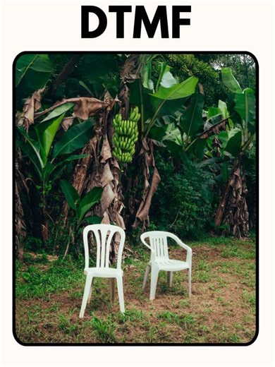 Debí Tirar Más Fotos: Reflexiones con Bad Bunny