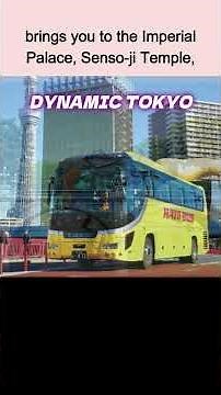 Japan for Beginners: The Best Bus Tours to Join!
