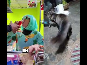 #shotrs #fyp#shortvideo #youtubeshorts