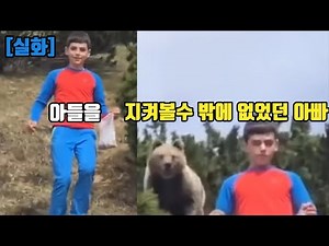 [실화] 아빠와 아들이 등산 도중 우연히 곰과 마주치다.