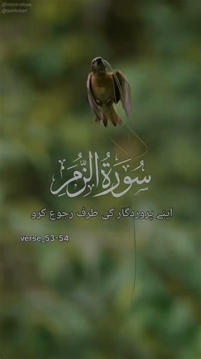 Surah Az-Zumar verse_53-54.🌙 Every verse of Quran is a guide to the soul