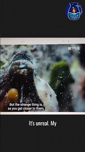 A Man Befriends an Octopus: "My Octopus Teacher" Documentary (Netflix) #shorts