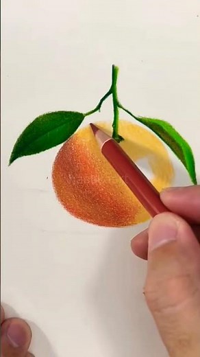 Realistic Orange Drawing with Pencil Colors 🍊 | Easy Color Pencil Art Tutorial #shorts
