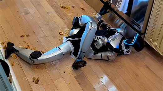 Humanoid robot attempts to cook a stir-fry but ends up failing