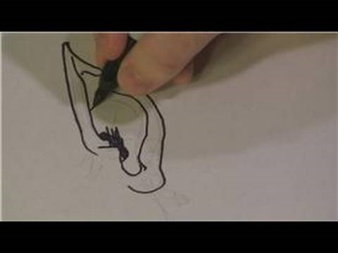 Drawing Lessons : How to Draw Elf Ears