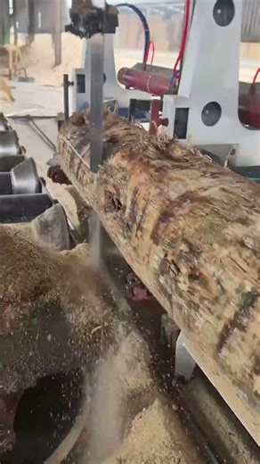 The process of turning a pine tree into smaller blocks of wood used in house construction.