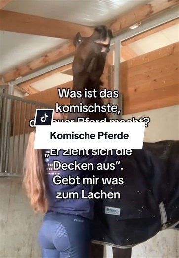 Pferdefreuden: Die lustigsten Momente mit Pferden