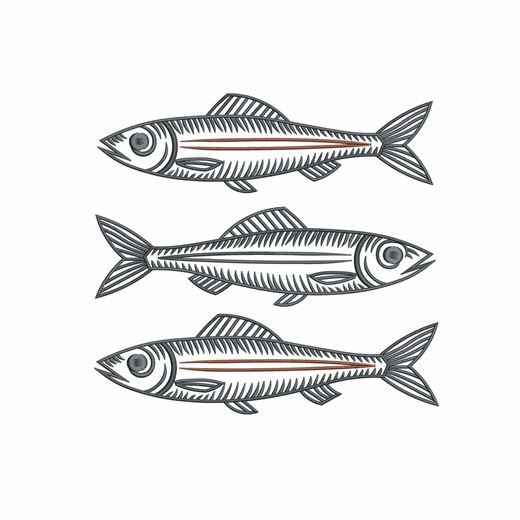 Sardine Fish Embroidery Design, Minimal Line Art Fish Trio Marine Illustration, Coastal Ocean Nautical Theme - Etsy