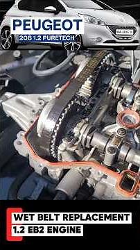 Peugeot 1.2 PureTech Wet Belt Change #208 #timingbelt #mechanic
