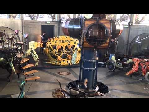 Le poisson-coffre, dernier né du Caroussel des mondes marins