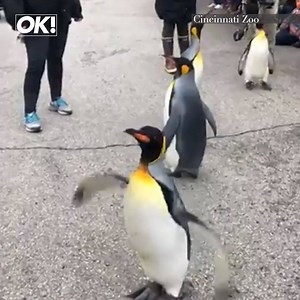 So cute. | OK! Magazine UK