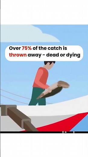 Bottom Trawling: The Fishing Method That’s Destroying Our Oceans 🌊 #plasticfreeindia #globalwarming