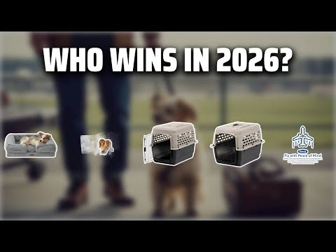 The Top 5 Best Travel Kennel in 2026 - Must Watch Before Buying!