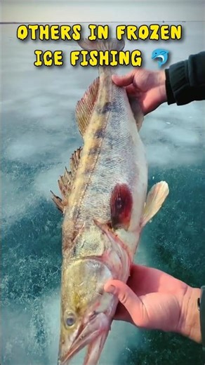 Ice Fishing Secrets: Mastering Catching Techniques #alisays #shortsfeed #duet