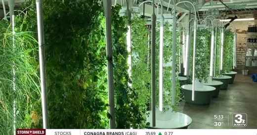Old Market restaurant Gather in Omaha expands indoor urban farm