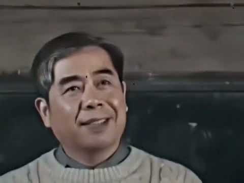 Light Bulb Challenge: Students Unveil the Surprises