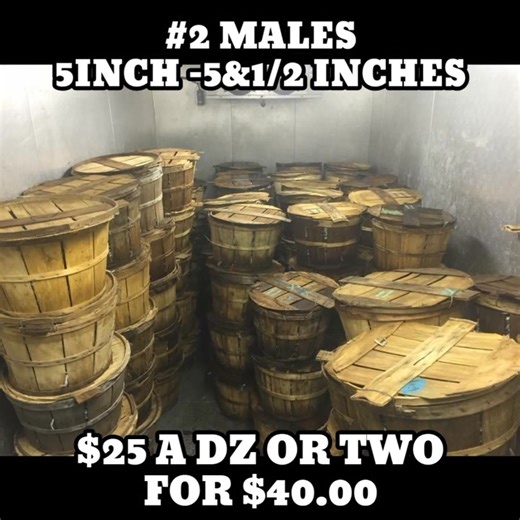 9.1K views · 74 reactions | We open at 11:00 Decaturs Crabs 2022 plank rd Fredericksburg Va 22401 | Decatur's Crabs | Facebook