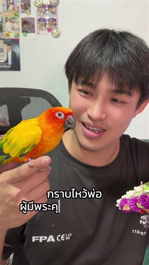 นกทัพพี กตัญญูวันพ่อ (?) #น้องมะม่วงนกไม่มีลิ้น #น้องมะม่วงสุกของแม่