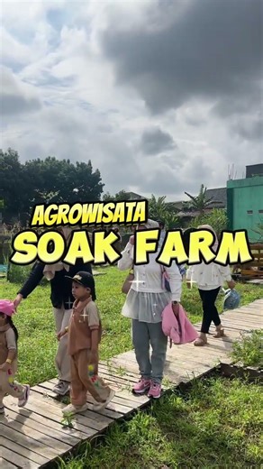 Jangan lupa Sabtu dan Minggu 09.00-17.00 wib ke Agrowisata Soak farm #soakfarm #agrowisata