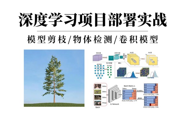 B站强推!这是全网最完整的深度学习项目部署实战，YOLOv3物体检测实战/模型剪枝/PyTorch框架部署实践，学不会打我啊！人工智能/深度学习/神经网络