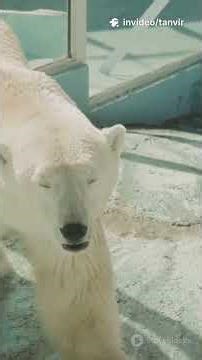 Girl's Pet Anaconda Saves Village #shorts #youtubeshorts #mystery