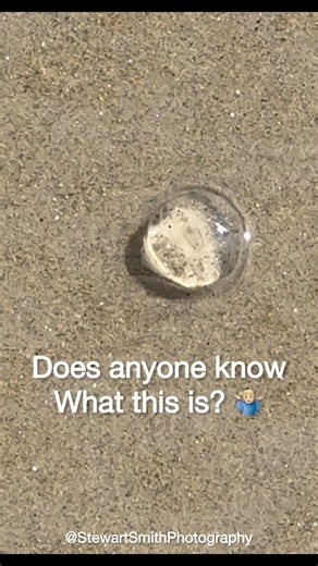 Can anyone out there tell me what I’m looking at? It’s not a bubble.. it’s not an ice cube! I’ve never seen anything like this before. I saw this in Old Orchard Beach, Maine | Stewart Smith Professional Photographer
