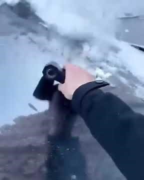 ❄️ Meet the Neslemy™ Winter Pro — The LED Turbo Blower That Clears Snow in Seconds.