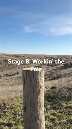 How are your wind reading skills?