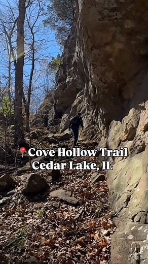 Looking for your next scenic hike? Cove Hollow Trail delivers big beauty in just a few miles! 🥾 Including towering bluffs, lush ferns, creek beds, and gorgeous views of Cedar Lake. With a waterfall running after recent rains, this moderate trail made for the perfect late fall and winter adventure. Only a short drive from Carbondale and packed with natural surprises! 🌞🌿💧 https://www.alltrails.com/trail/us/illinois/cove-hollow-trail-to-cedar-lake-trail 📹 @darkhorse.films | Carbondale IL Touri