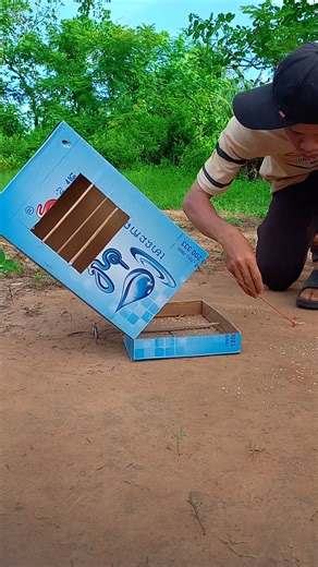 Unbelievable Quail Trap Build a Bird Trap using a Cardboard Box and Wood | Animals Trap